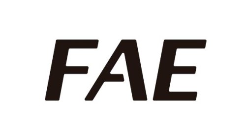 FAE Business School
